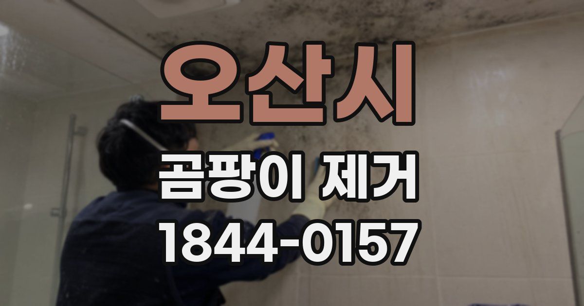 오산시 곰팡이 제거