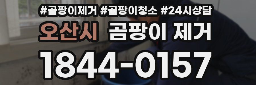 오산시 곰팡이 제거