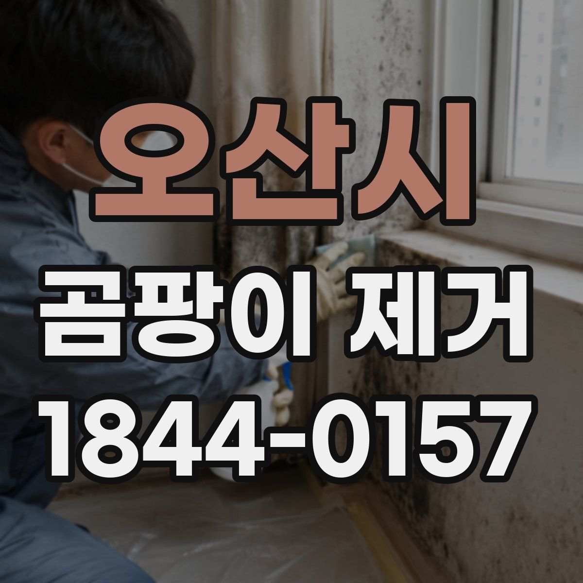 오산시 곰팡이 제거