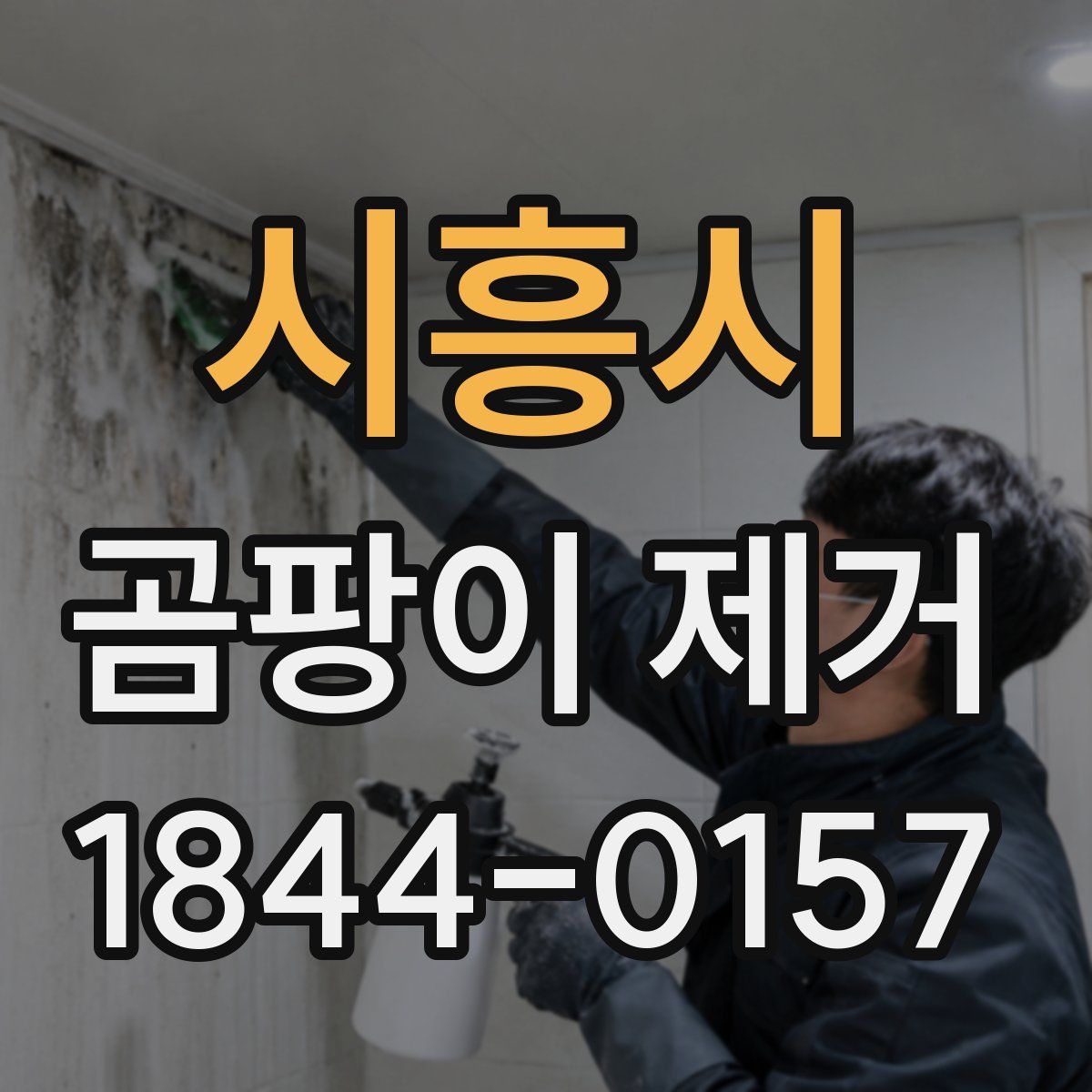 시흥시 곰팡이 제거