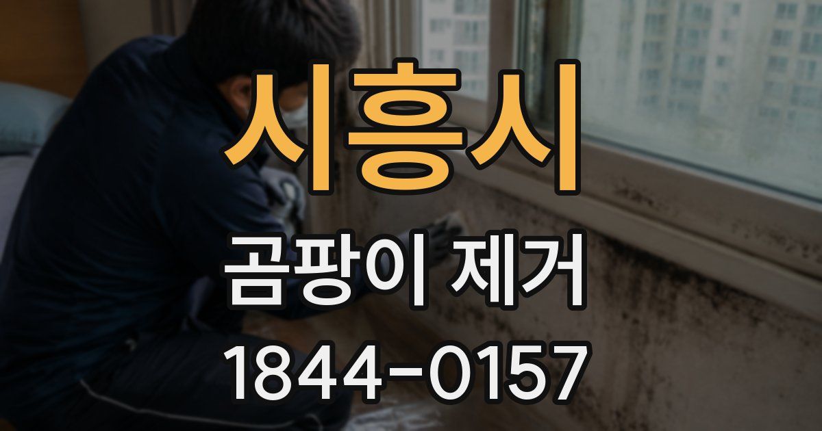 시흥시 곰팡이 제거