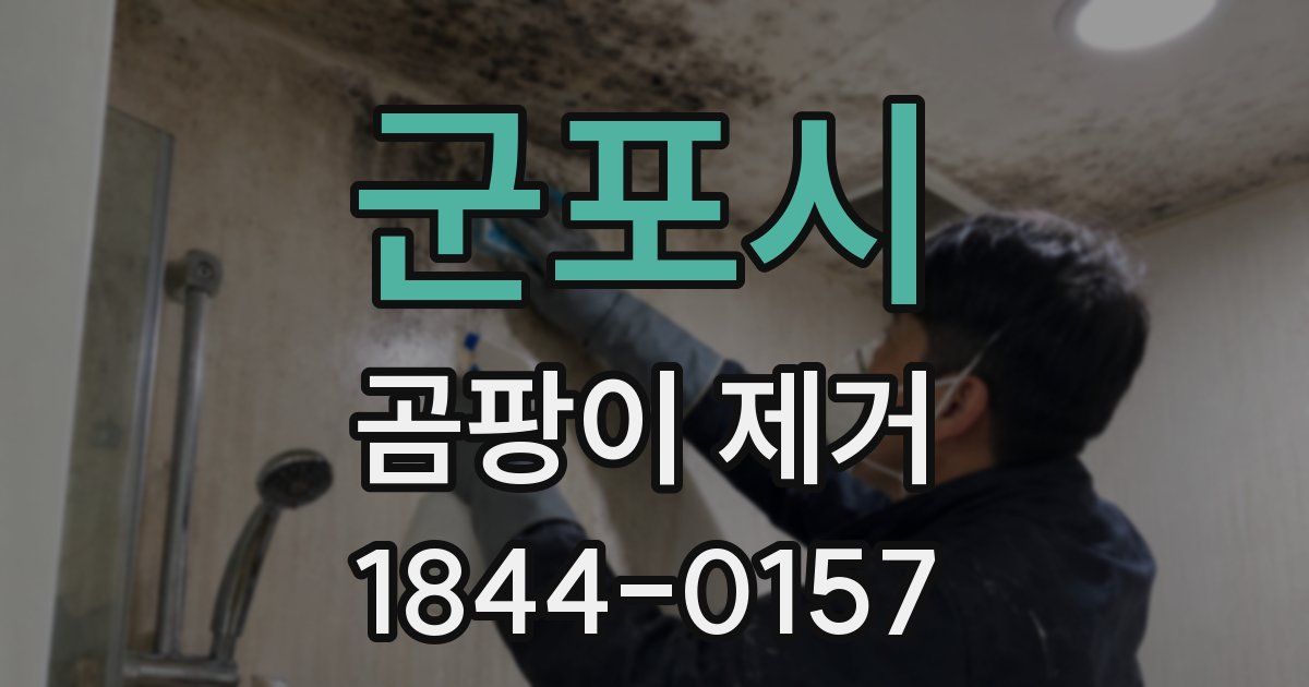 군포시 곰팡이 제거