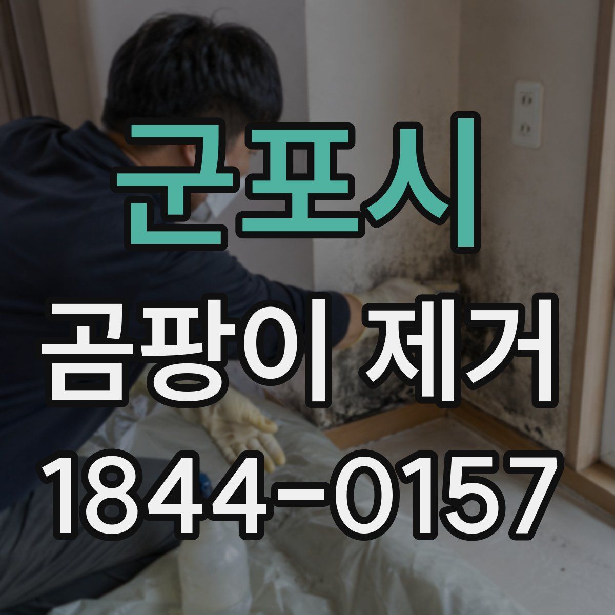 군포시 곰팡이 제거