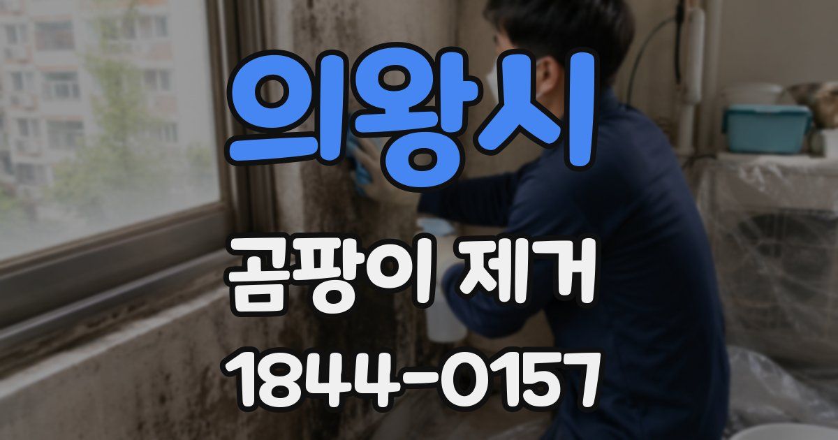 의왕시 곰팡이 제거