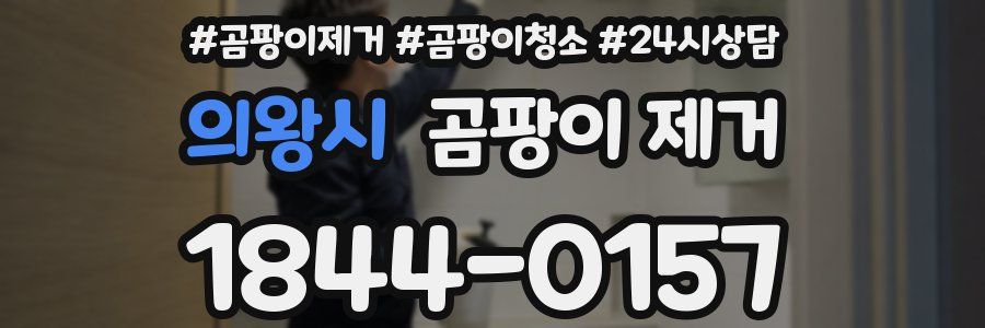 의왕시 곰팡이 제거