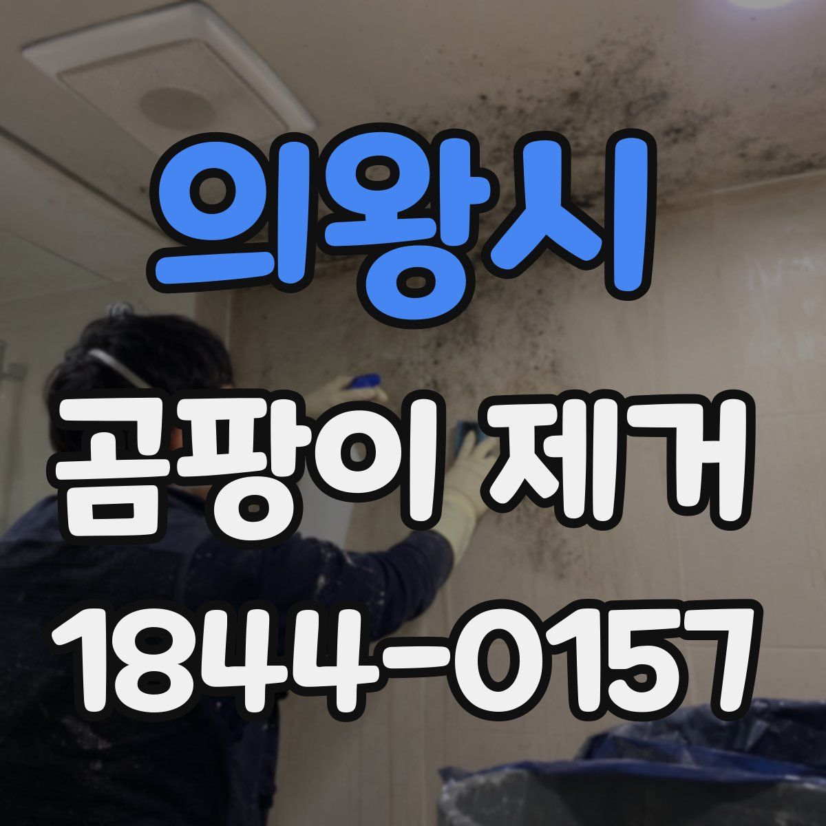 의왕시 곰팡이 제거