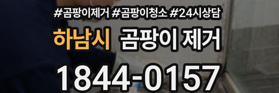하남시 곰팡이 제거