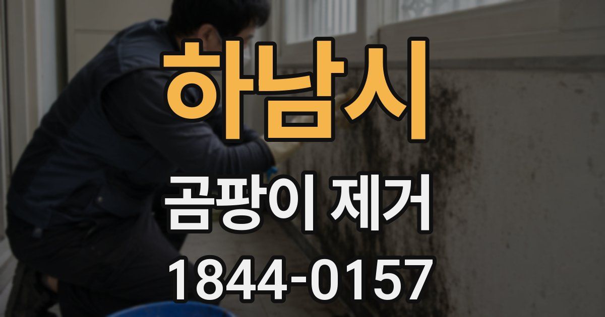 하남시 곰팡이 제거