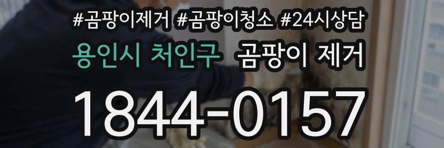 용인시 처인구 곰팡이 제거