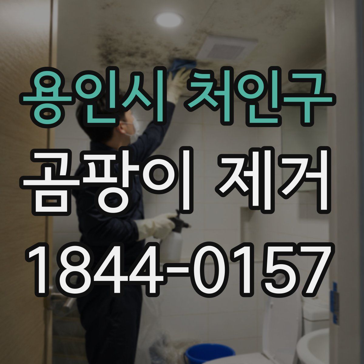 용인시 처인구 곰팡이 제거