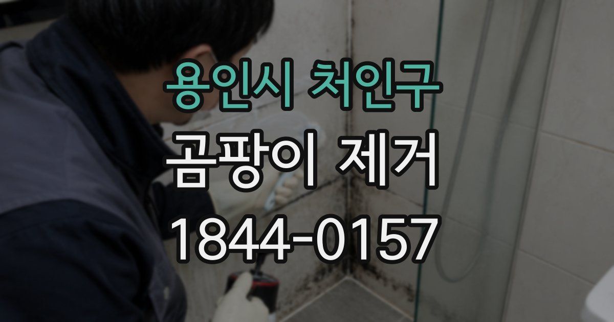 용인시 처인구 곰팡이 제거