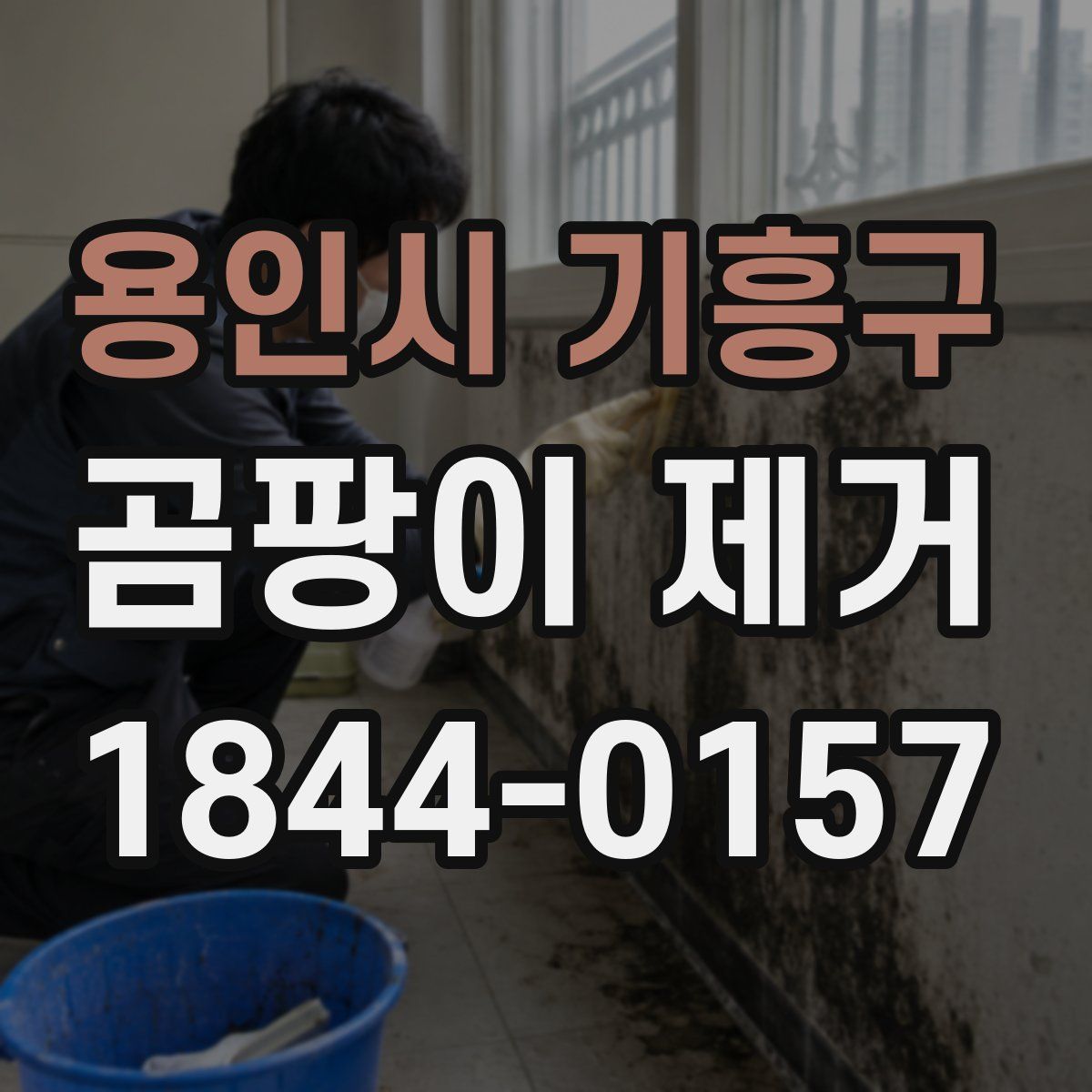 용인시 기흥구 곰팡이 제거