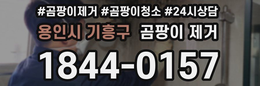 용인시 기흥구 곰팡이 제거