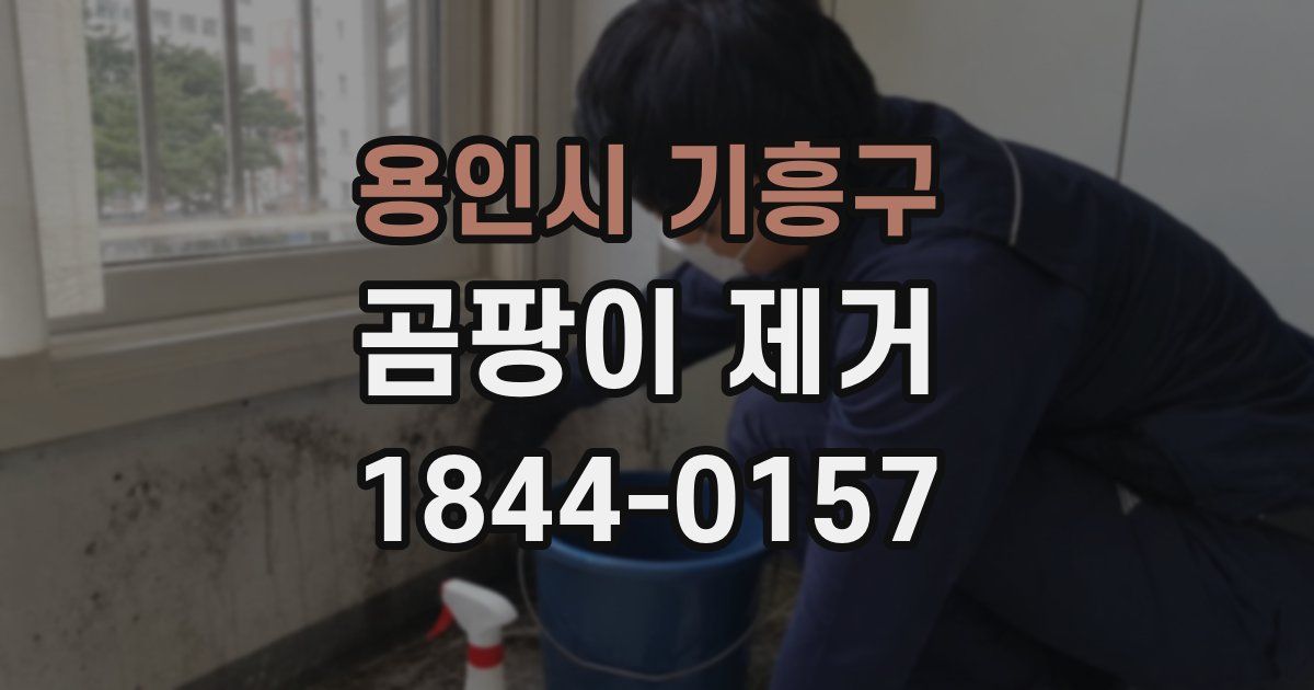 용인시 기흥구 곰팡이 제거