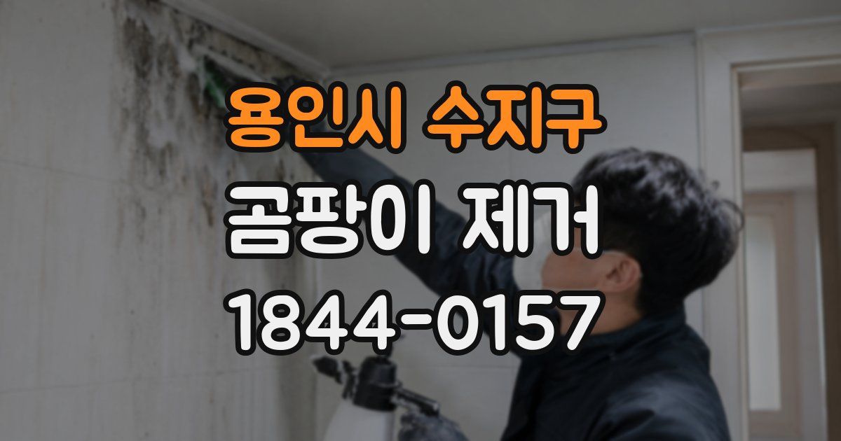 용인시 수지구 곰팡이 제거