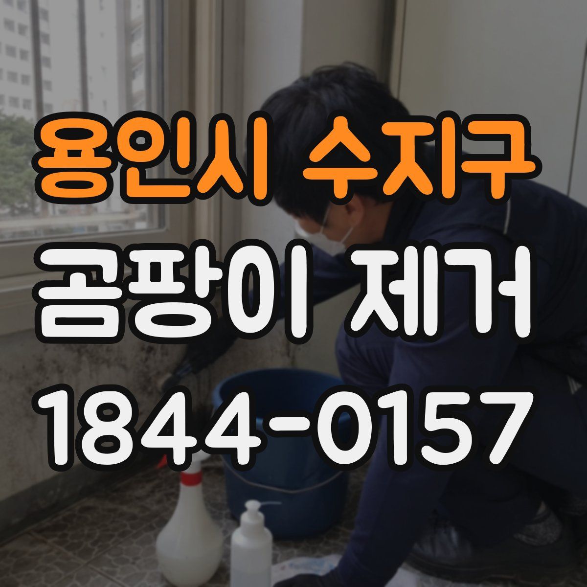 용인시 수지구 곰팡이 제거