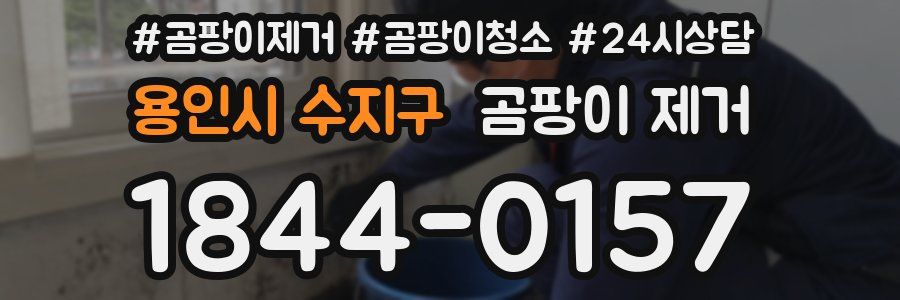용인시 수지구 곰팡이 제거