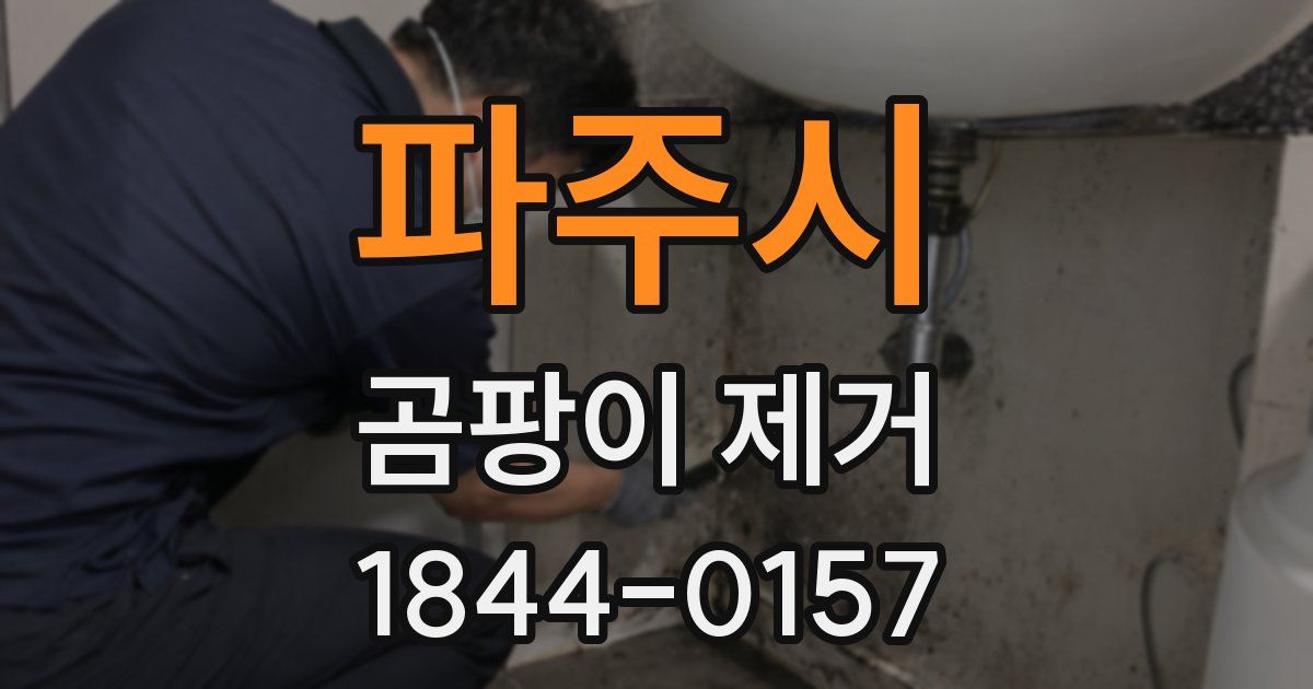 파주시 곰팡이 제거