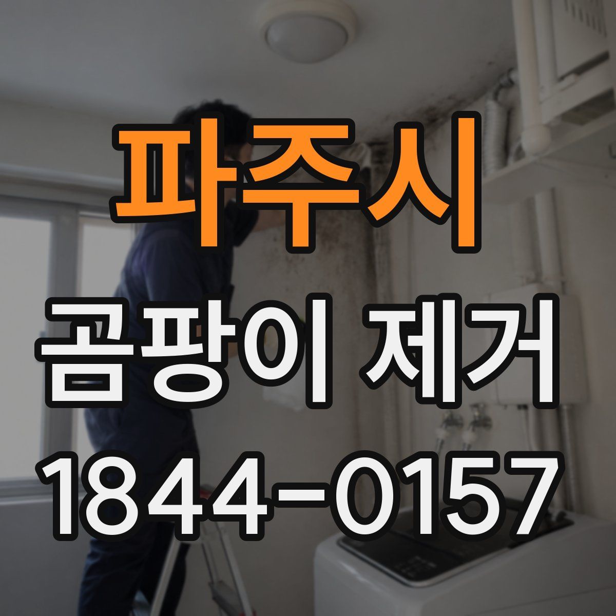 파주시 곰팡이 제거