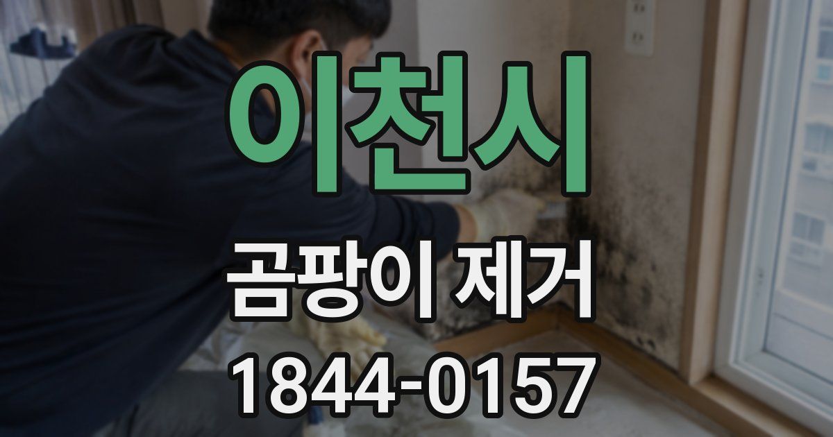이천시 곰팡이 제거
