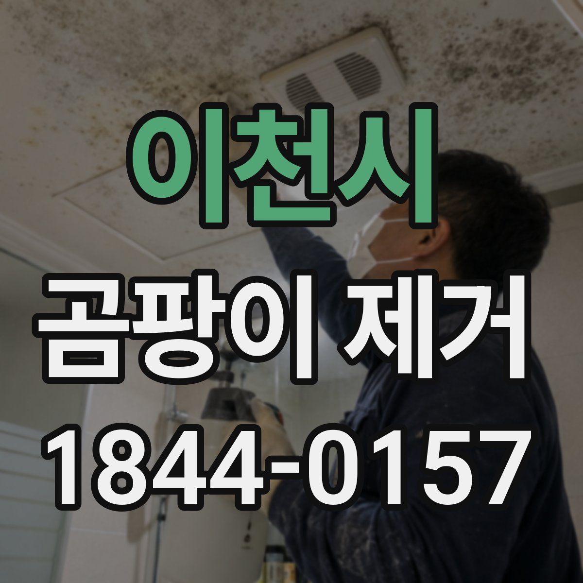 이천시 곰팡이 제거