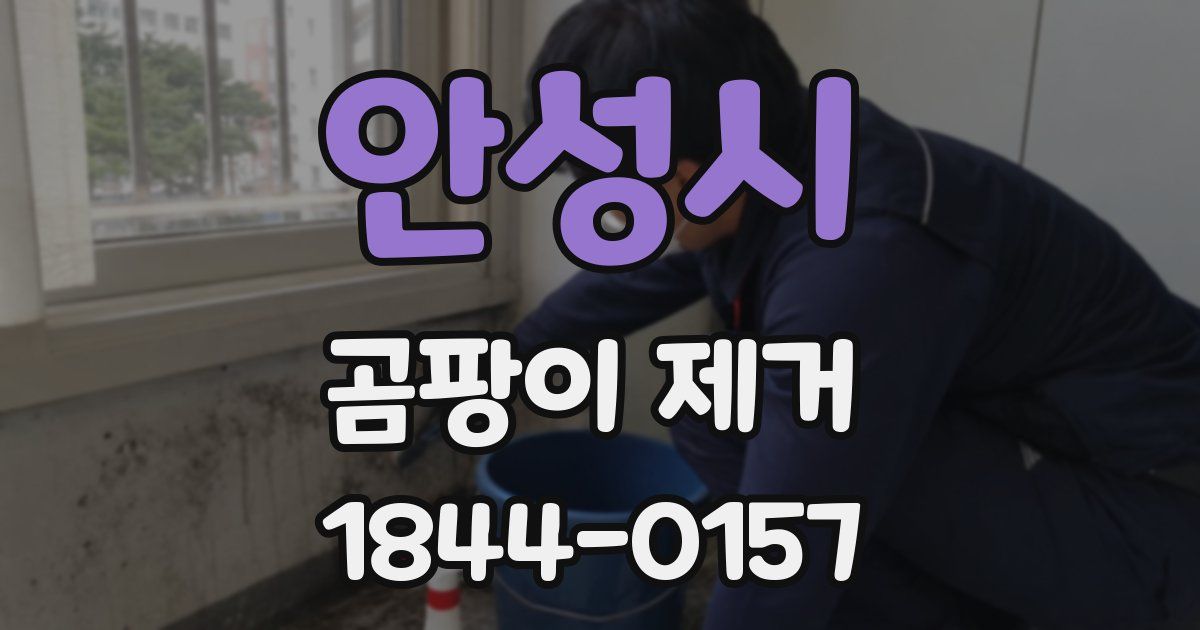 안성시 곰팡이 제거