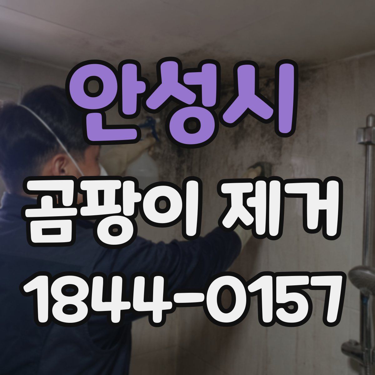 안성시 곰팡이 제거
