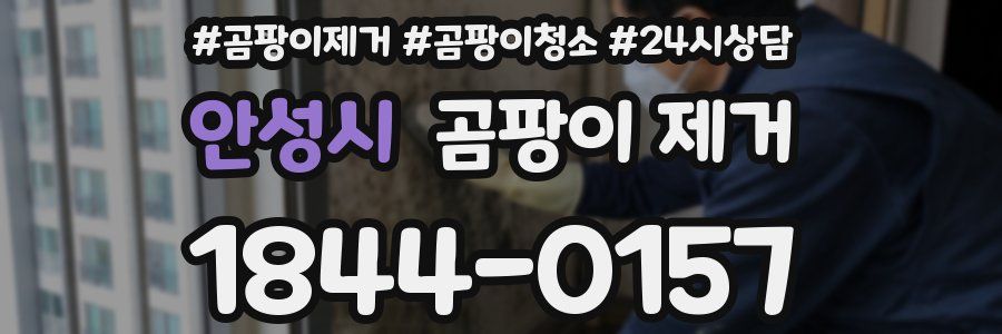 안성시 곰팡이 제거