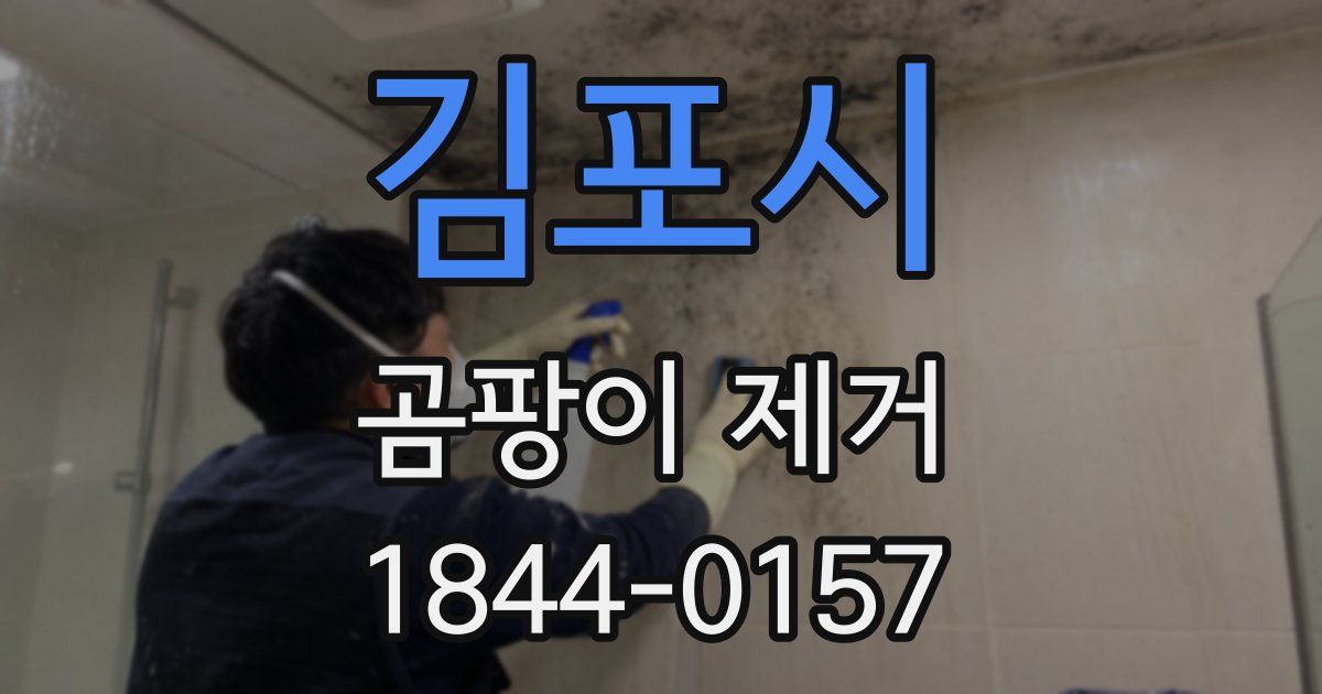 김포시 곰팡이 제거