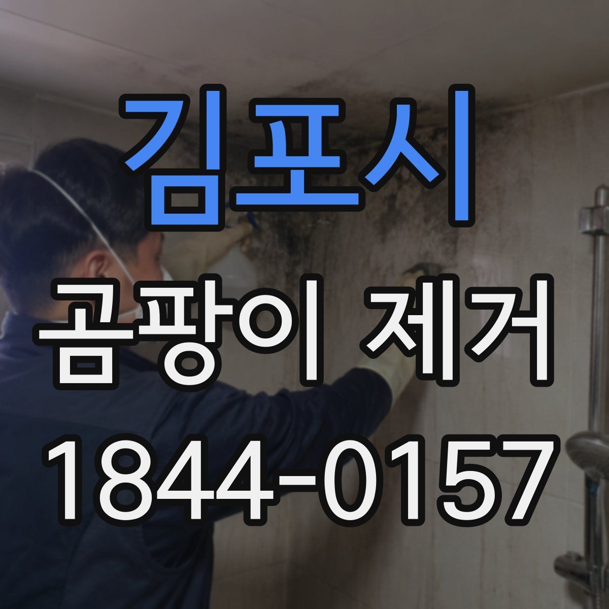 김포시 곰팡이 제거