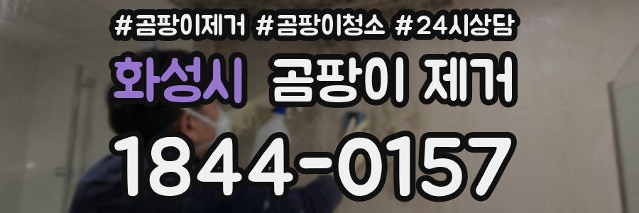 화성시 곰팡이 제거