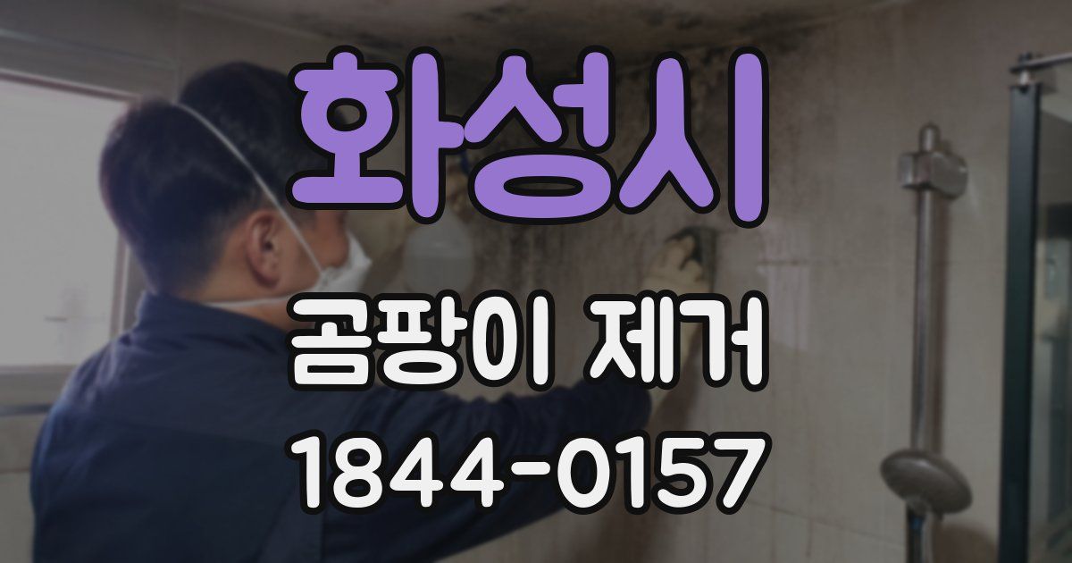 화성시 곰팡이 제거