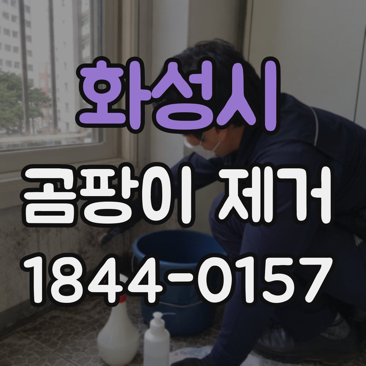 화성시 곰팡이 제거