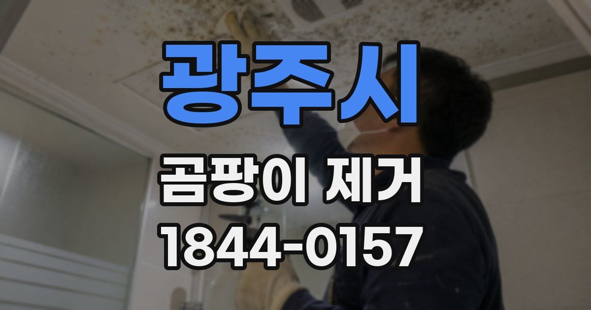 광주시 곰팡이 제거
