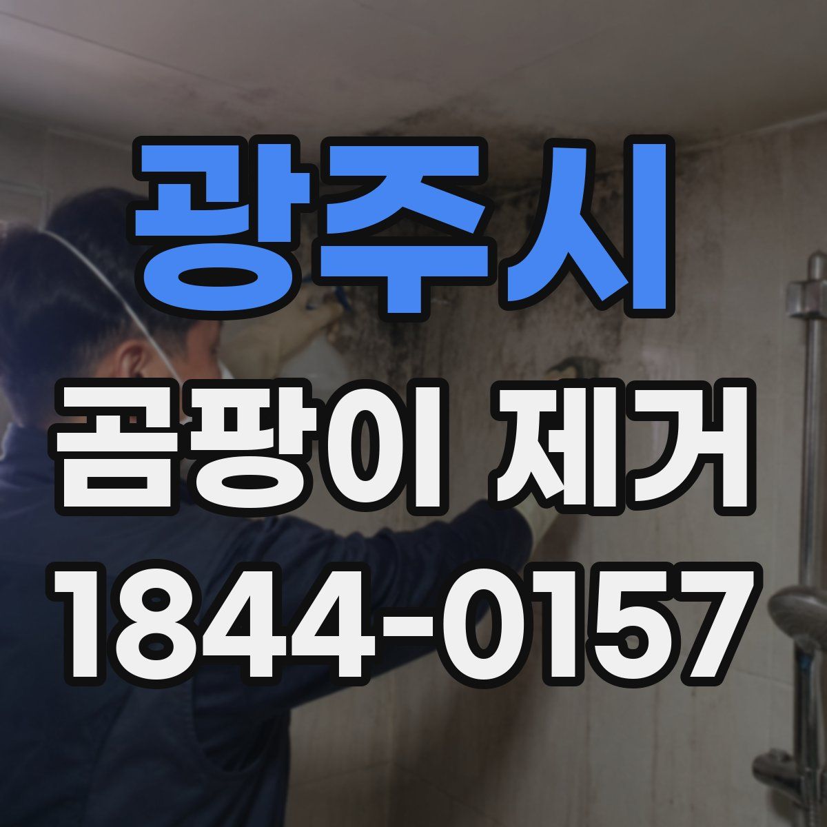 광주시 곰팡이 제거