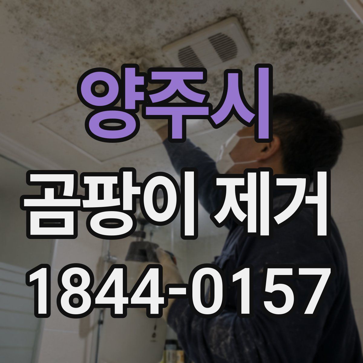 양주시 곰팡이 제거
