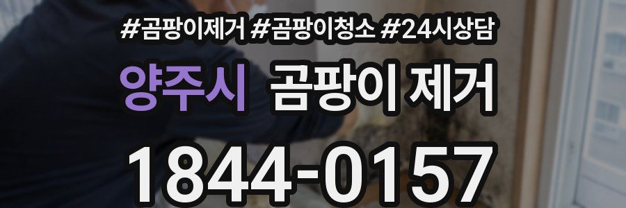 양주시 곰팡이 제거
