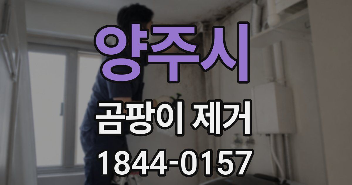 양주시 곰팡이 제거
