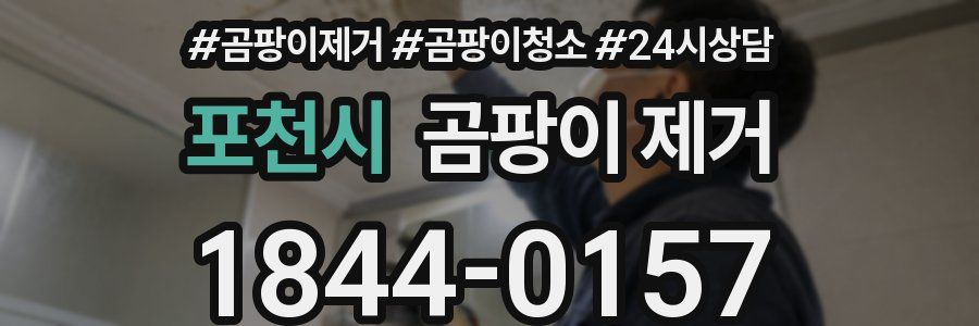 포천시 곰팡이 제거