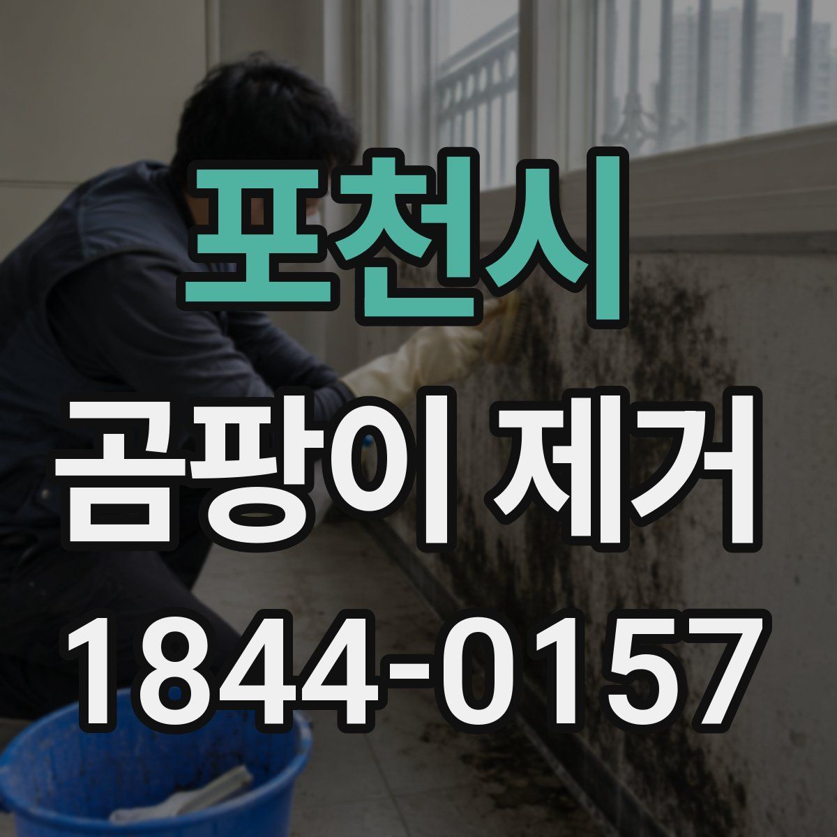 포천시 곰팡이 제거