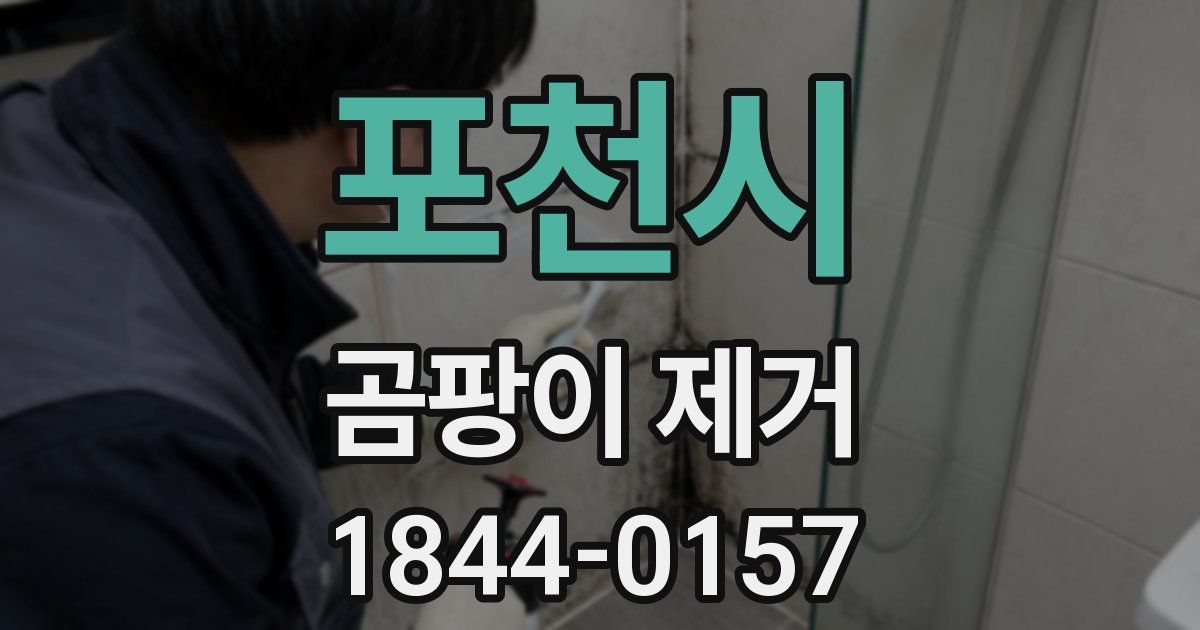 포천시 곰팡이 제거