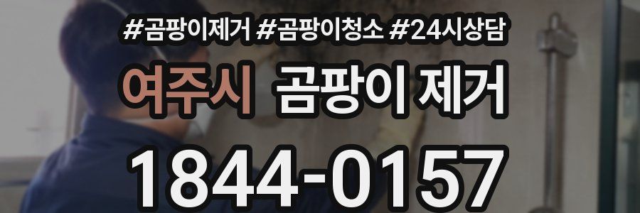 여주시 곰팡이 제거