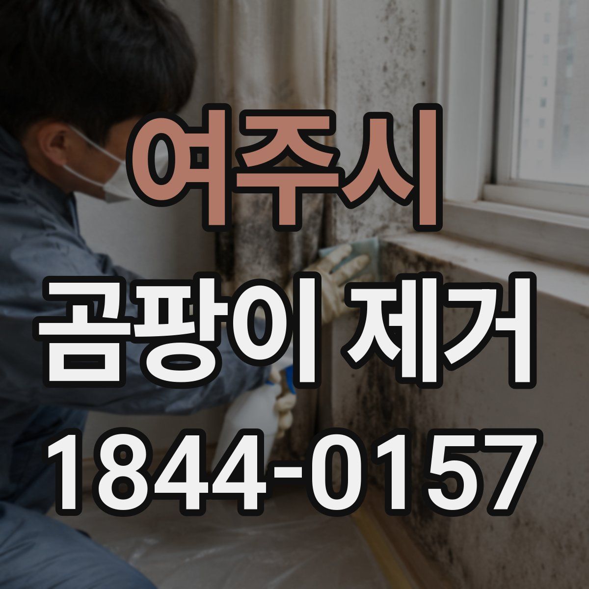 여주시 곰팡이 제거