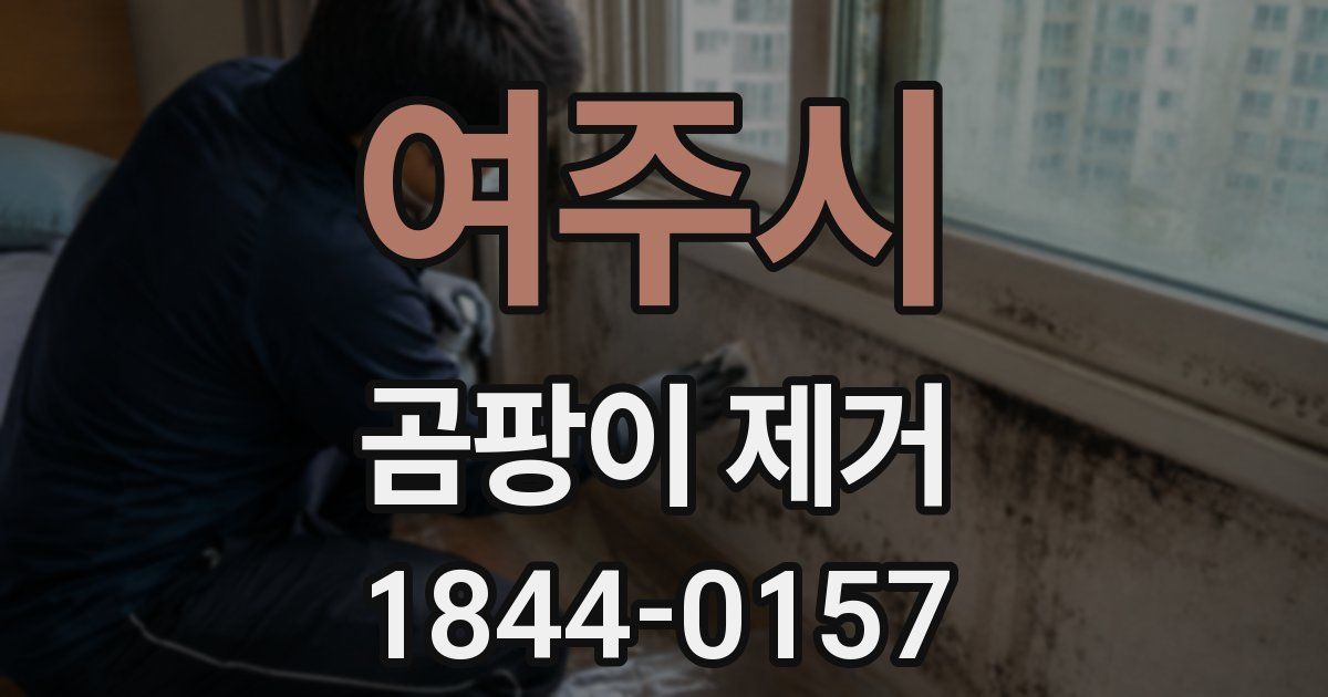 여주시 곰팡이 제거