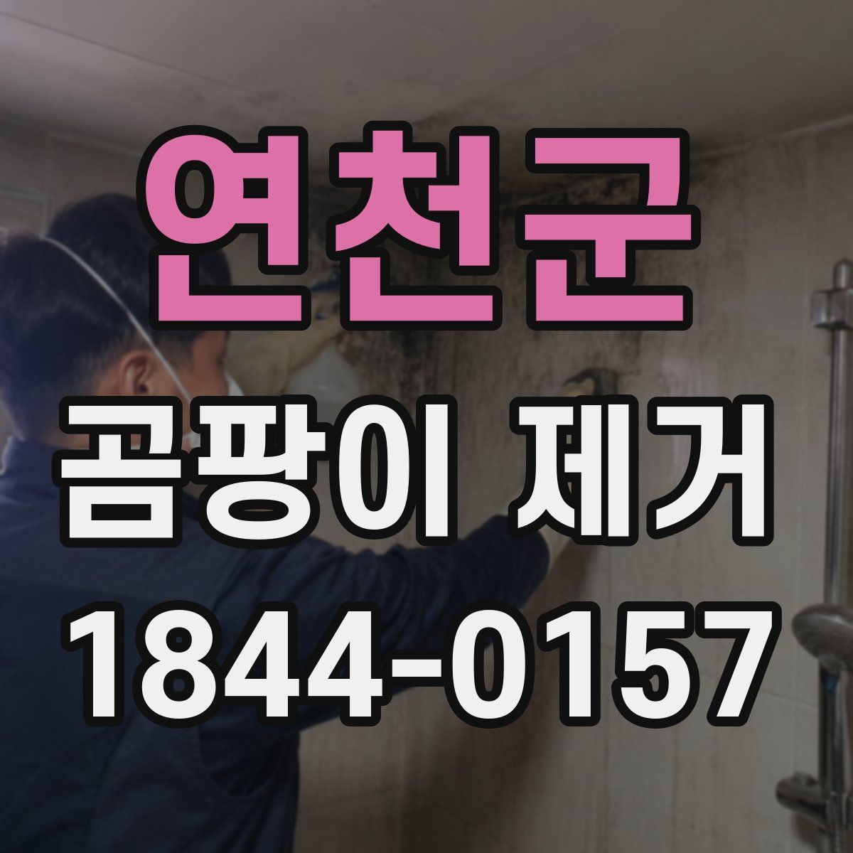 연천군 곰팡이 제거