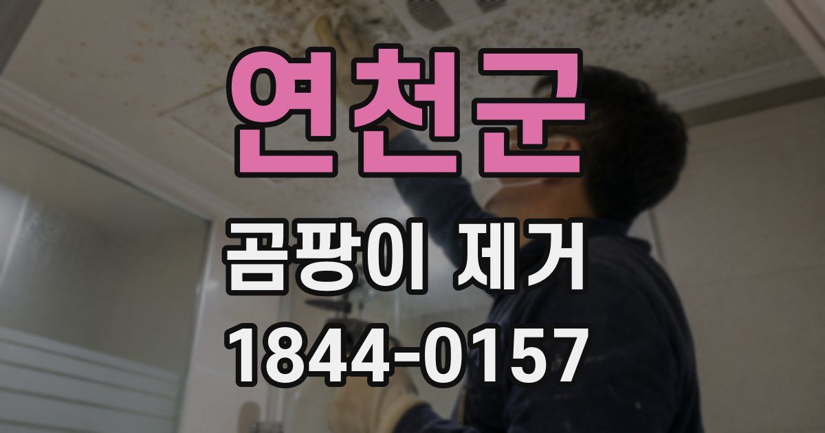 연천군 곰팡이 제거
