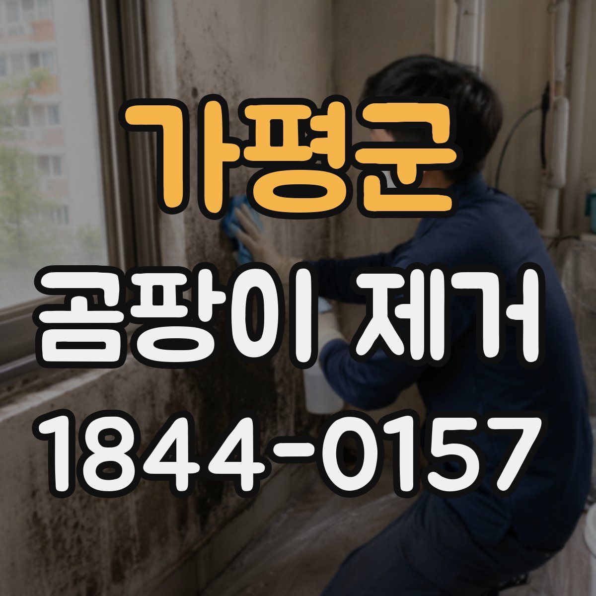 가평군 곰팡이 제거