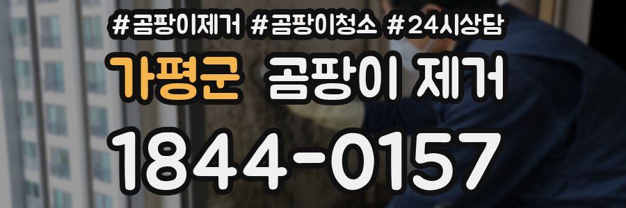 가평군 곰팡이 제거