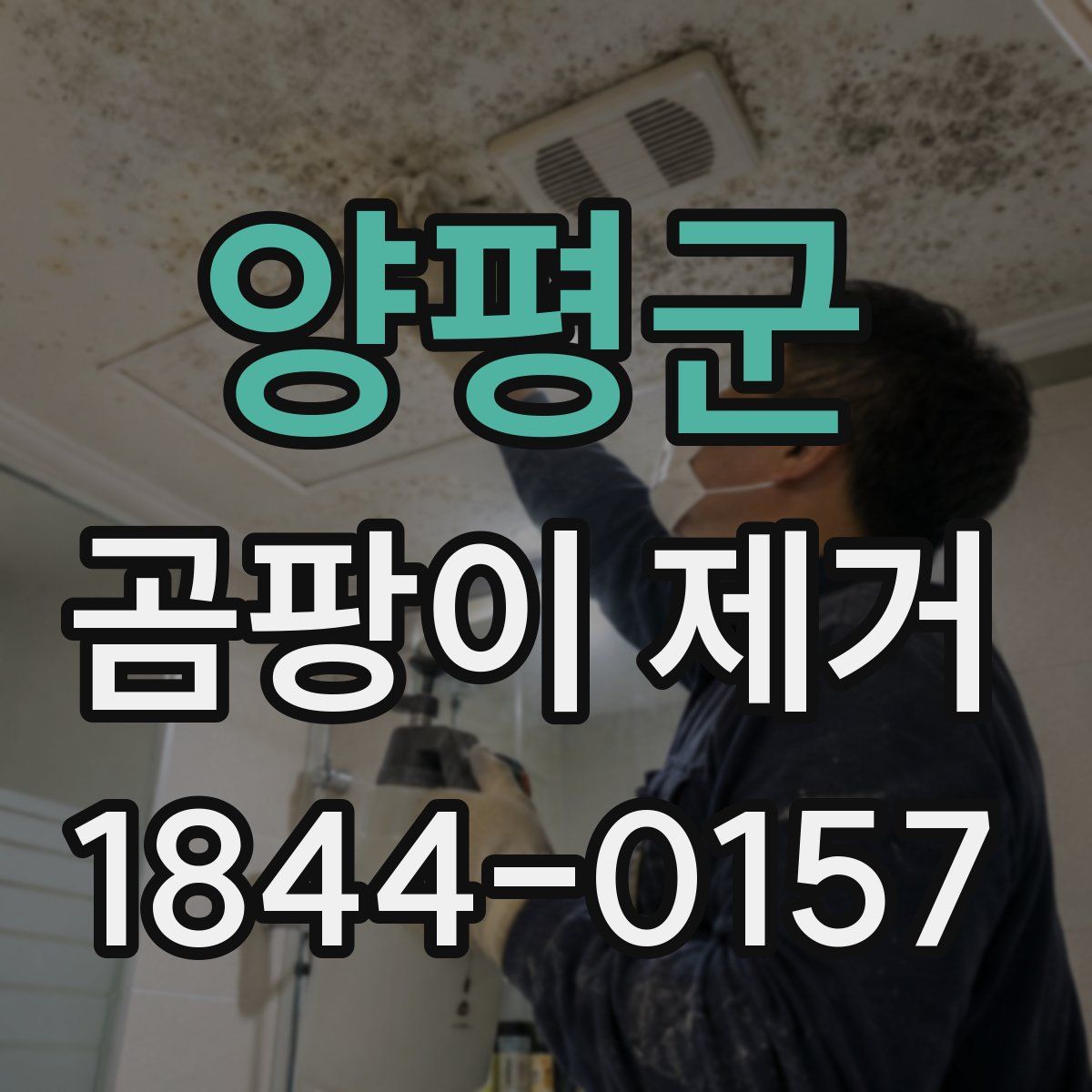 양평군 곰팡이 제거