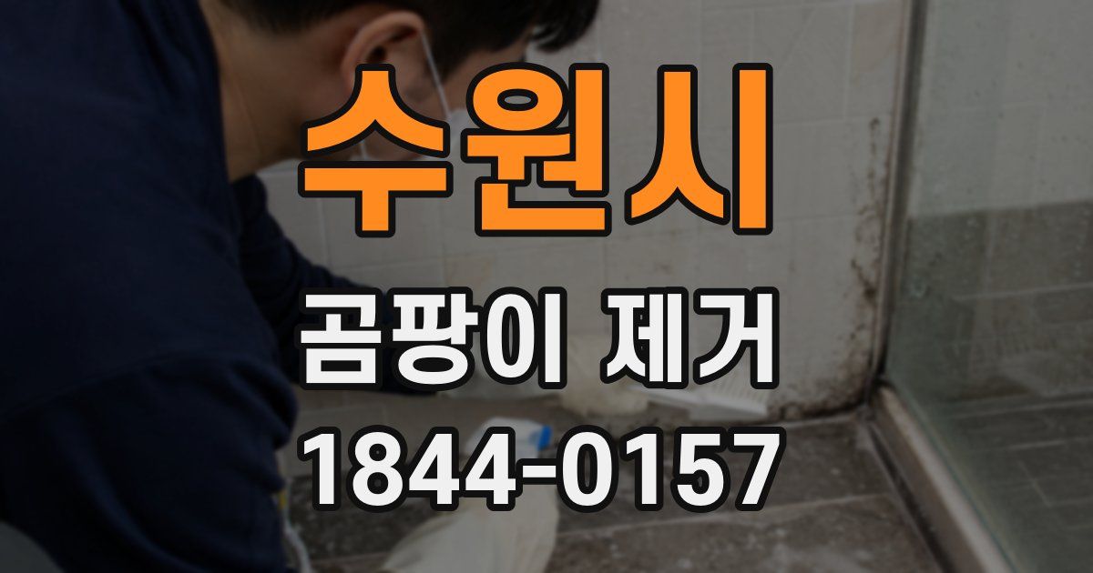 수원시 곰팡이 제거